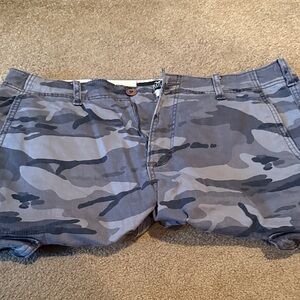 Hollister Beige and Gray Shorts